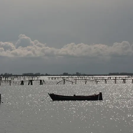 Ca' Bonelli 1924 Scardovari